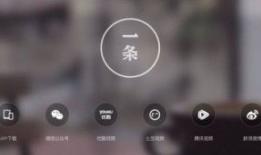 一条视频,XX背后的惊人真相