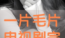 毛片在线视频,暗流涌动的网络世界